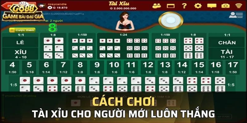 tài xỉu cho người mới
