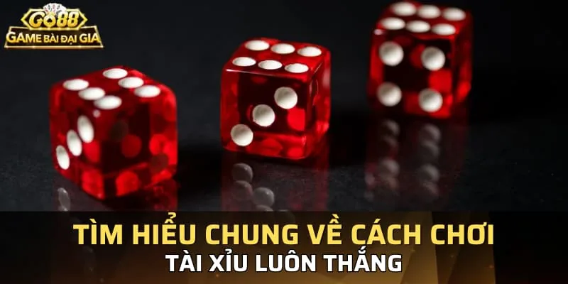 Tìm hiểu chung về cách chơi tài xỉu luôn thắng